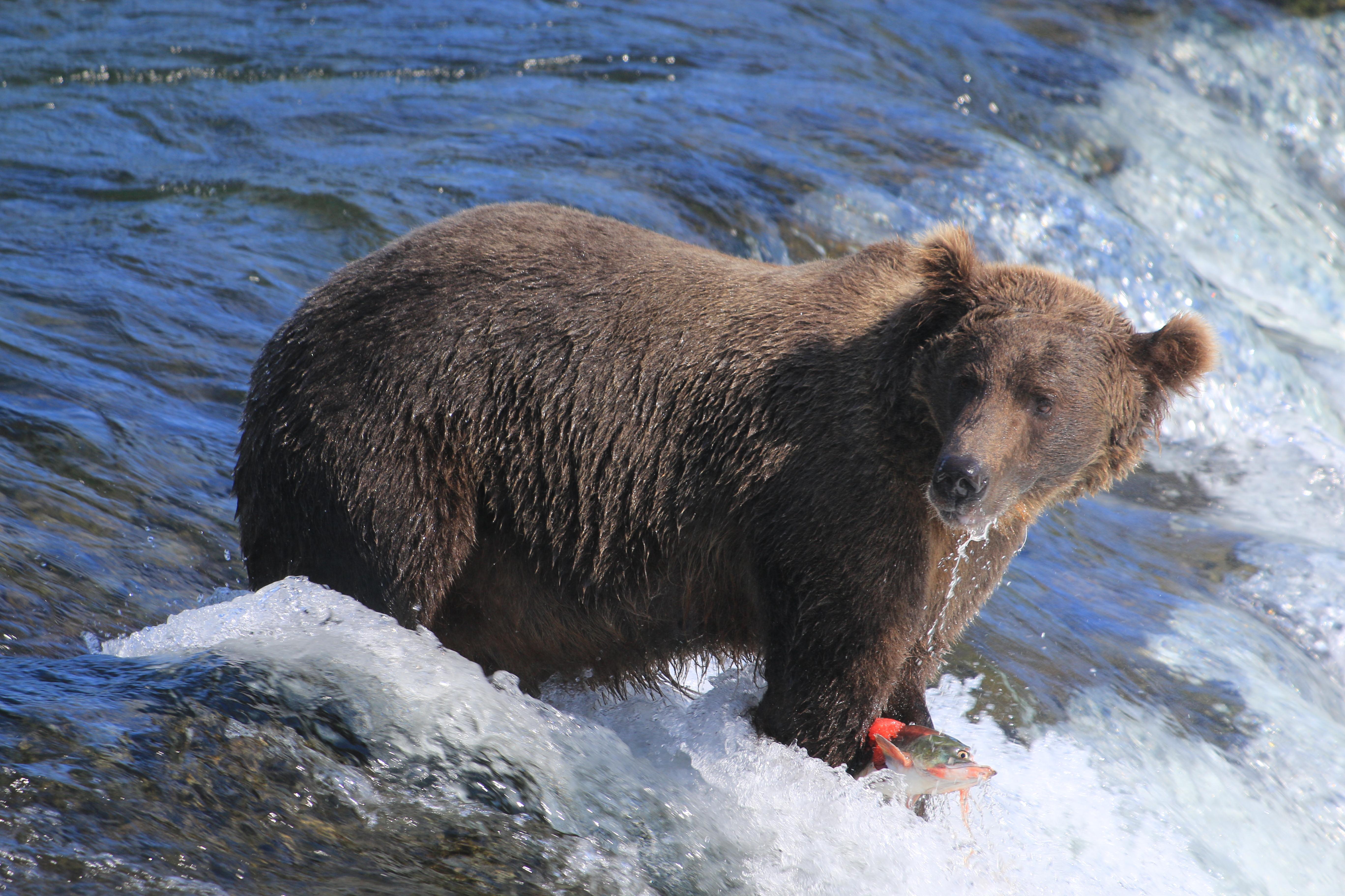 Alaska